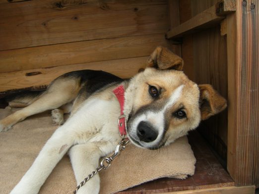 �Ԍ��̃o��