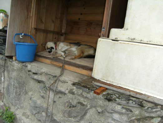 �Ԍ��̃o��