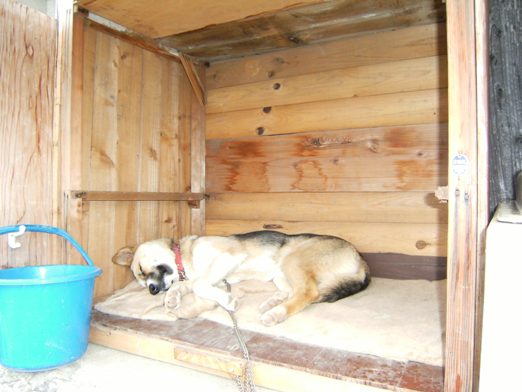 �Ԍ��̃o��