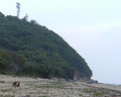 �Ԍ��̃o��