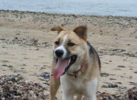 �Ԍ��̃o��