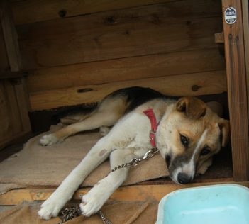 �Ԍ��̃o��