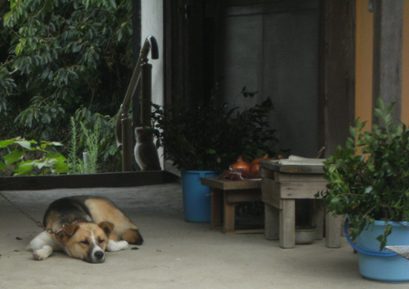 �Ԍ��̃o��