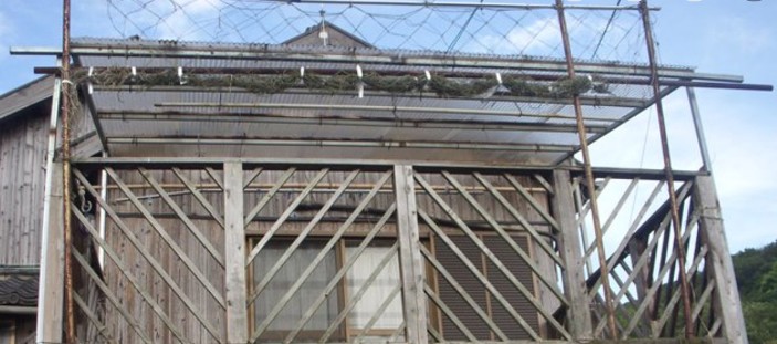 �e���X�̉���