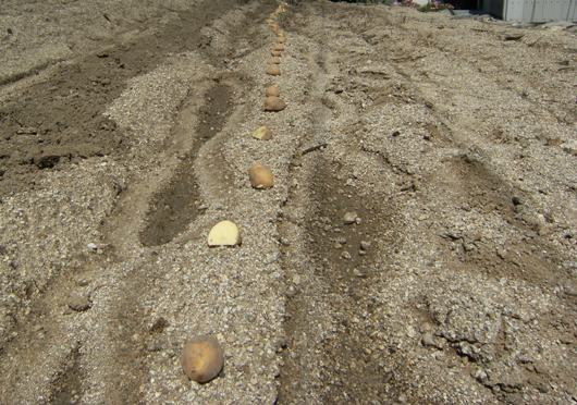 �W���K�C��