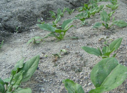 �z�E�����\�E