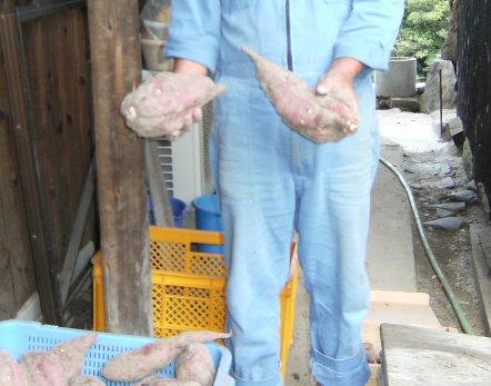 ���܂���