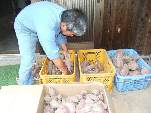 ���܂���