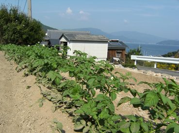 ���܂���