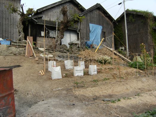 ���t�H�[��