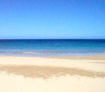 �n���C��